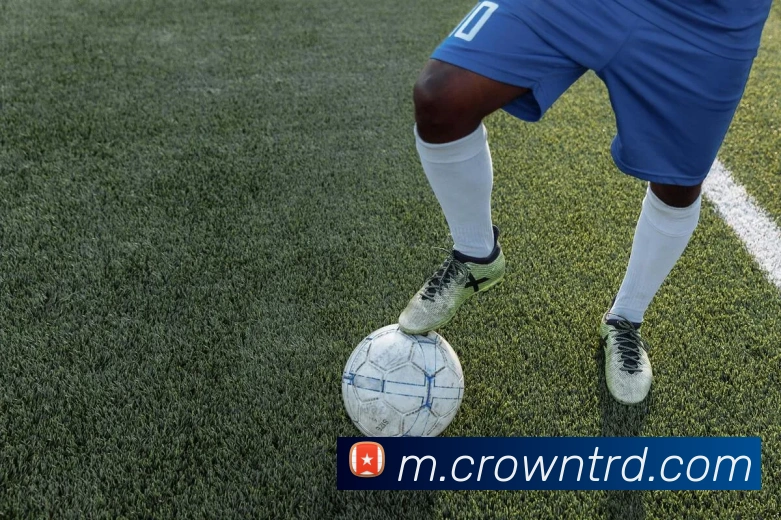 皇冠crown体育平台服务体系